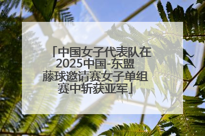中国女子代表队在2025中国-东盟藤球邀请赛女子单组赛中斩获亚军