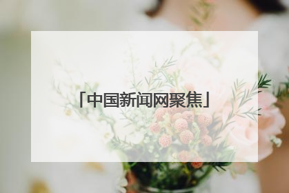 中国新闻网聚焦