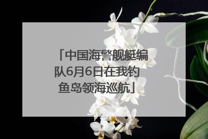 中国海警舰艇编队6月6日在我钓鱼岛领海巡航