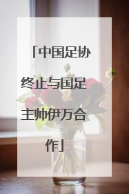 中国足协终止与国足主帅伊万合作