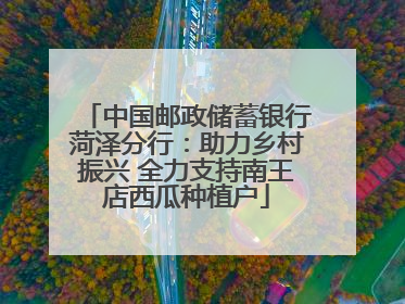 中国邮政储蓄银行菏泽分行：助力乡村振兴 全力支持南王店西瓜种植户
