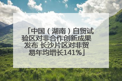 中国（湖南）自贸试验区对非合作创新成果发布 长沙片区对非贸易年均增长141%