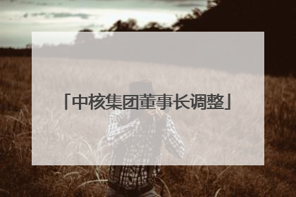 中核集团董事长调整