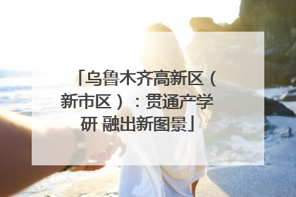 乌鲁木齐高新区（新市区）：贯通产学研 融出新图景
