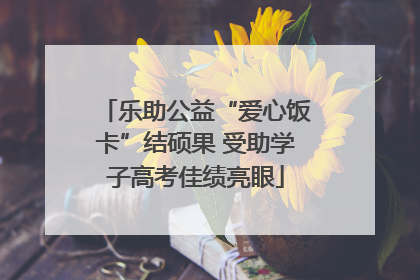 乐助公益“爱心饭卡”结硕果 受助学子高考佳绩亮眼