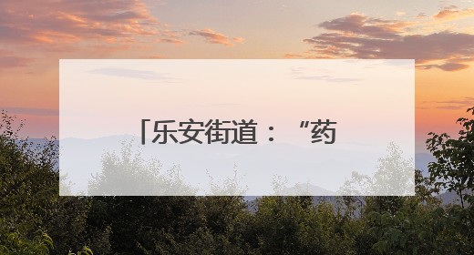 乐安街道：“药材花海”绽希望 产业振兴鼓钱袋