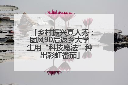 乡村振兴真人秀：团风90后返乡大学生用“科技魔法”种出彩虹番茄
