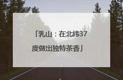乳山：在北纬37度做出独特茶香