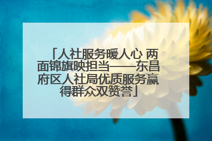 人社服务暖人心 两面锦旗映担当——东昌府区人社局优质服务赢得群众双赞誉