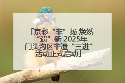 京彩“非”扬 焕然“遗”新 2025年门头沟区非遗“三进”活动正式启动