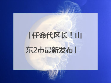 任命代区长！山东2市最新发布