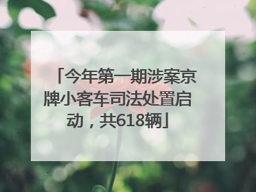 今年第一期涉案京牌小客车司法处置启动，共618辆