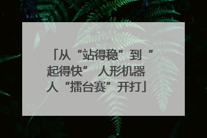 从“站得稳”到“起得快” 人形机器人“擂台赛”开打