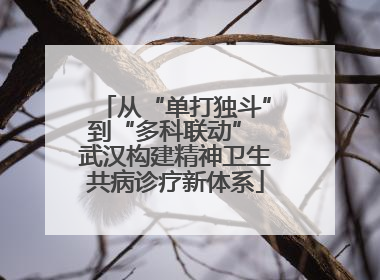 从“单打独斗”到“多科联动” 武汉构建精神卫生共病诊疗新体系