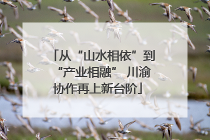 从“山水相依”到“产业相融” 川渝协作再上新台阶