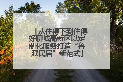 从住得下到住得好聊城高新区以定制化服务打造“鲁派民居”新范式