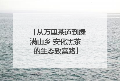 从万里茶道到绿满山乡 安化黑茶的生态致富路
