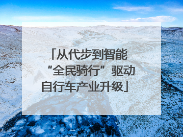 从代步到智能 “全民骑行”驱动自行车产业升级