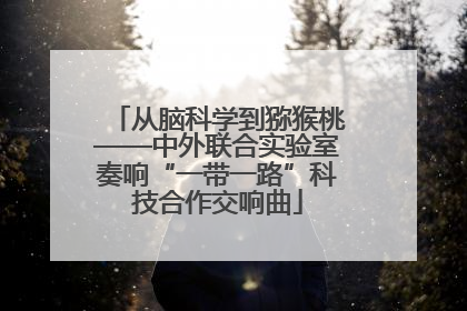从脑科学到猕猴桃——中外联合实验室奏响“一带一路”科技合作交响曲