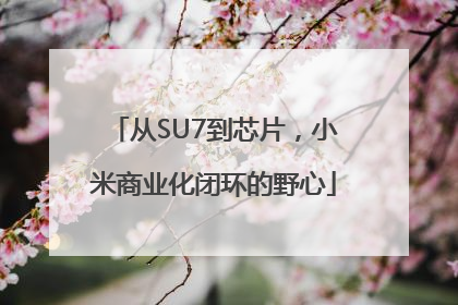 从SU7到芯片，小米商业化闭环的野心