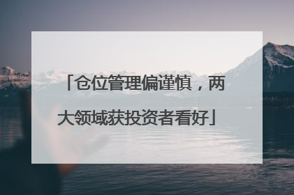 仓位管理偏谨慎，两大领域获投资者看好