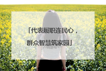 代表履职连民心，群众智慧筑家园