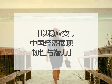 以稳应变，中国经济展现韧性与潜力