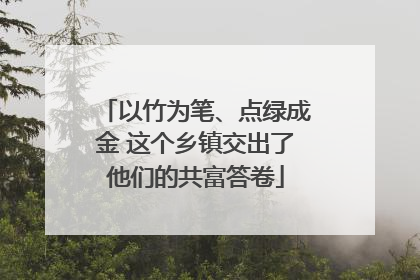 以竹为笔、点绿成金 这个乡镇交出了他们的共富答卷