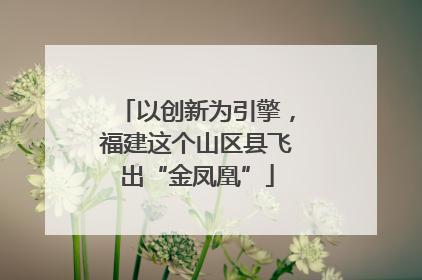 以创新为引擎，福建这个山区县飞出“金凤凰”