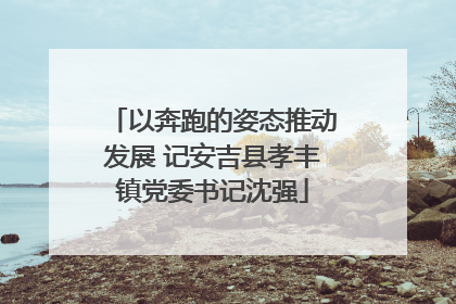 以奔跑的姿态推动发展 记安吉县孝丰镇党委书记沈强