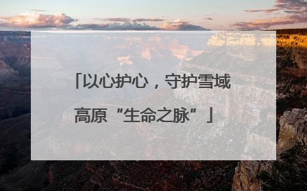 以心护心，守护雪域高原“生命之脉”