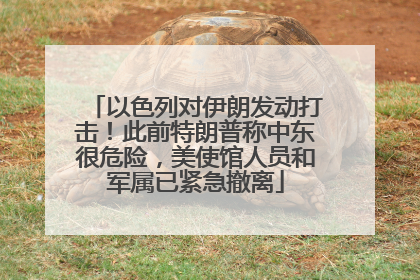 以色列对伊朗发动打击！此前特朗普称中东很危险，美使馆人员和军属已紧急撤离