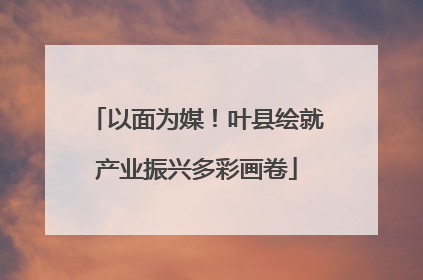 以面为媒！叶县绘就产业振兴多彩画卷