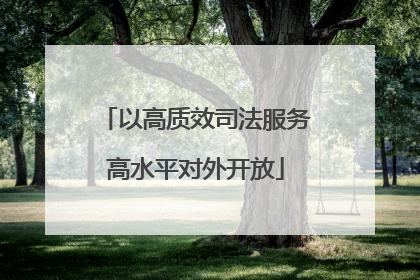 以高质效司法服务高水平对外开放