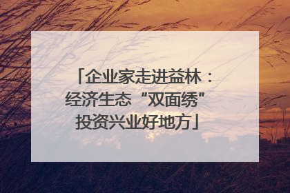 企业家走进益林：经济生态“双面绣” 投资兴业好地方