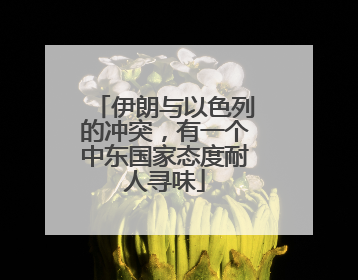 伊朗与以色列的冲突，有一个中东国家态度耐人寻味
