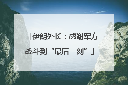 伊朗外长：感谢军方战斗到“最后一刻”