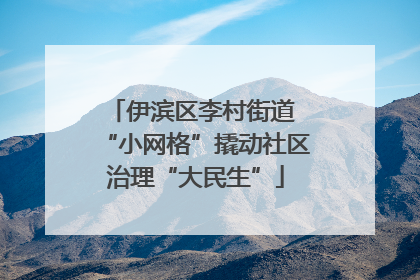 伊滨区李村街道 “小网格”撬动社区治理“大民生”