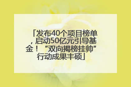 发布40个项目榜单，启动50亿元引导基金！“双向揭榜挂帅”行动成果丰硕