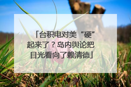 台积电对美“硬”起来了？岛内舆论把目光看向了赖清德
