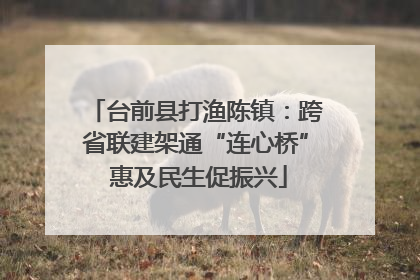 台前县打渔陈镇：跨省联建架通“连心桥” 惠及民生促振兴