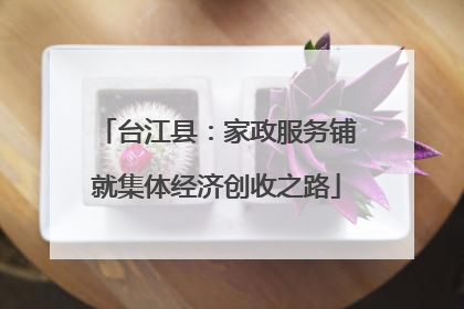 台江县：家政服务铺就集体经济创收之路