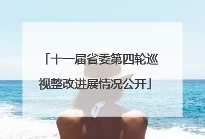 十一届省委第四轮巡视整改进展情况公开