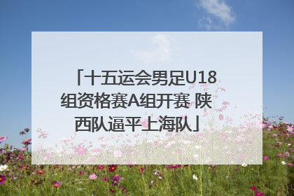 十五运会男足U18组资格赛A组开赛 陕西队逼平上海队