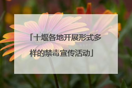 十堰各地开展形式多样的禁毒宣传活动