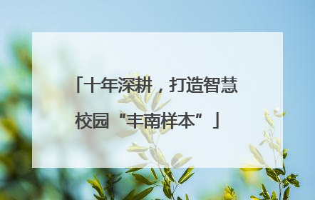 十年深耕，打造智慧校园“丰南样本”