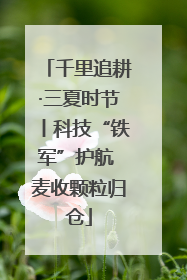千里追耕·三夏时节丨科技“铁军”护航 麦收颗粒归仓