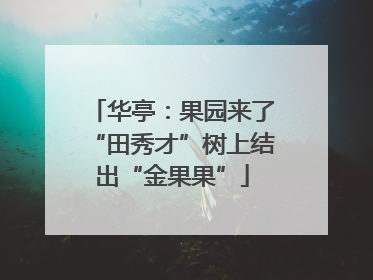 华亭：果园来了“田秀才”树上结出“金果果”