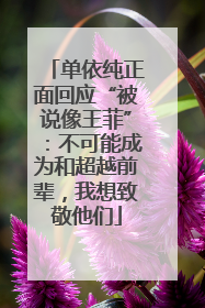 单依纯正面回应“被说像王菲”：不可能成为和超越前辈，我想致敬他们