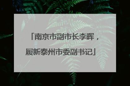 南京市副市长李晖，履新泰州市委副书记